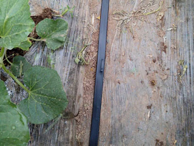 1511421883165139.jpg 2.jpg