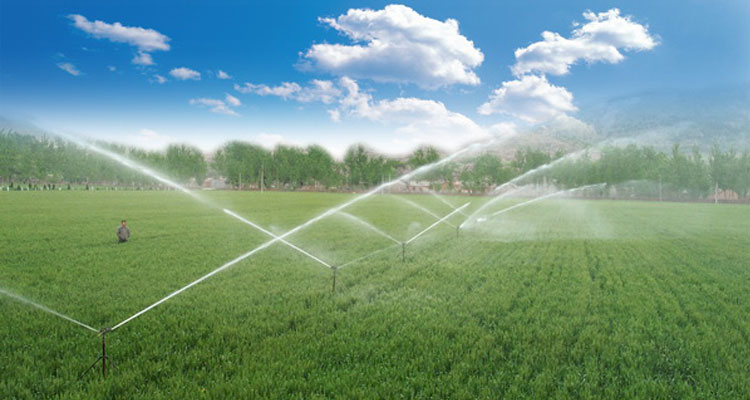 PE软带价格 PE软带价格